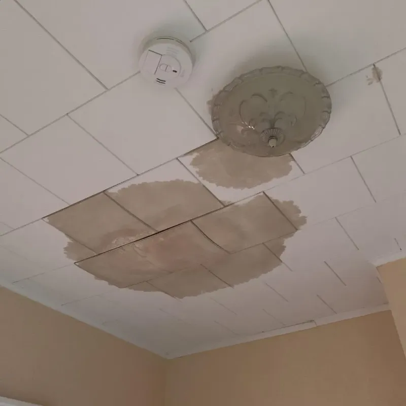 Ceiling Water Damage Repair in Oxford, KS