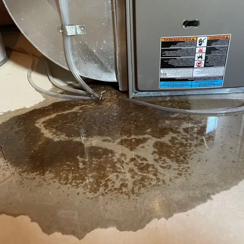 Pipe Burst and Leak Restoration in Oxford, KS
