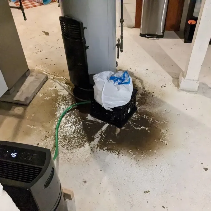 Sewage Backup Cleanup Service in Oxford, KS